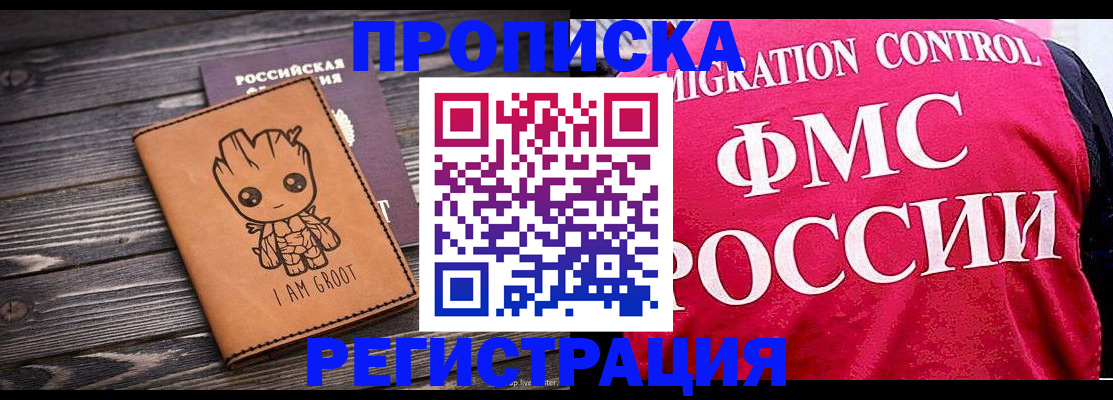 прописка 2025 в Новозыбкове